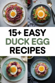 duck-egg-ccccc-99209