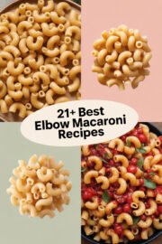 21+ Best Elbow Macaroni Recipes That Will Make Your Dinner Delightful and Fun! elbow-macaroni-ccccc-93223