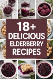 18+ Delicious Elderberry Recipes to Boost Your Health and Delight Your Taste Buds! elderberry-recipes-ccccc-30132