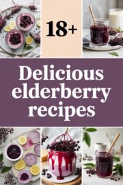 18+ Delicious Elderberry Recipes to Boost Your Health and Delight Your Taste Buds! elderberry-recipes-ccccc-68258