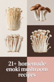 enoki-mushrooms-ccccc-65572