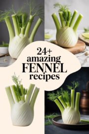 fennel-ccccc-58450