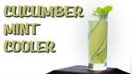 Fresh Cucumber, Mint, and Gin for Your Spring Cocktail ...