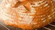 Gluten-Free Bread With Psyllium Husk