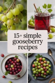 gooseberry-ccccc-15746