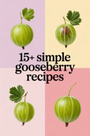 gooseberry-ccccc-86943