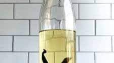 Homemade Vanilla Vodka