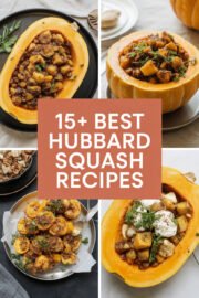 15+ Best Hubbard Squash Recipes You’ll Want to Make This Fall! hubbard-squash-ccccc-17459