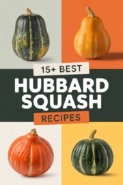 hubbard-squash-ccccc-23882