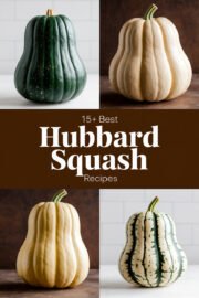 15+ Best Hubbard Squash Recipes You’ll Want to Make This Fall! hubbard-squash-ccccc-52206