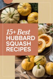 hubbard-squash-ccccc-61664