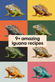 iguana-ccccc-38650