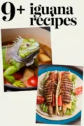 iguana-recipes-bbbbb-63468
