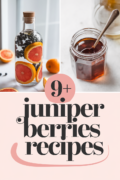 juniper-berries-recipes-bbbbb-36151