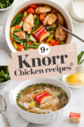 knorr-with-chicken-recipes-bbbbb-91853