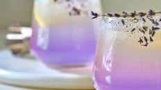Lavender Gin Lemonade Cocktail
