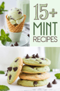 mint-recipes-bbbbb-31000