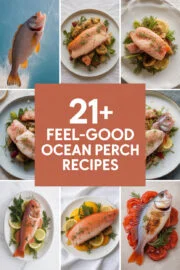 ocean-perch-ccccc-12572