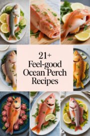 ocean-perch-ccccc-44582