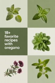 oregano-ccccc-41563