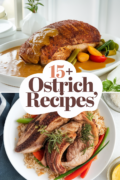 ostrich-recipes-ideas-bbbbb-61414