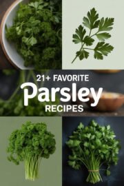 parsley-ccccc-68890