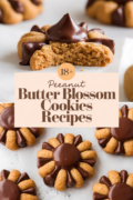 peanut-butter-blossom-cookies-recipes-bbbbb-29981