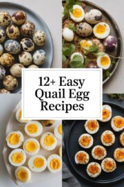 12+ Easy Quail Egg Recipes That Will Delight Your Taste Buds and Impress Your Guests! quail-eggs-ccccc-36346