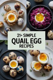 21+ Simple Quail Egg Recipes to Delight Your Taste Buds and Impress Your Guests quail-eggs-ccccc-57047