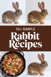 rabbit-recipes-ccccc-90631