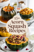 recipes-for-acorn-squash-bbbbb-23204