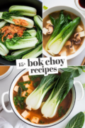 recipes-for-bok-choy-bbbbb-47550