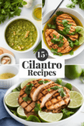 recipes-for-cilantro-bbbbb-41811