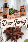 recipes-for-deer-jerky-bbbbb-20336