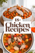 recipes-for-dog-food-with-chicken-bbbbb-60812