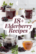 recipes-for-elderberries-bbbbb-28806