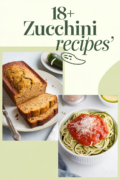 recipes-for-giant-zucchini-bbbbb-43689