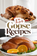 recipes-for-goose-bbbbb-72196