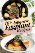 recipes-for-japanese-eggplant-bbbbb-19850