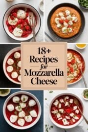 18+ Favorite Recipes to Make Delicious Mozzarella Cheese at Home 18+ Favorite Recipes to Make Delicious Mozzarella Cheese at Home – recipes for mozzarella cheese
