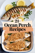 recipes-for-ocean-perch-bbbbb-69606