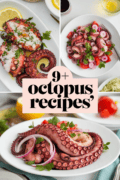 recipes-for-octopus-bbbbb-60952