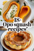 recipes-for-opo-squash-bbbbb-96974