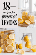 recipes-for-preserved-lemons-bbbbb-50479