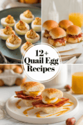 recipes-for-quail-eggs-bbbbb-29580