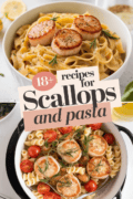 recipes-for-scallops-and-pasta-bbbbb-69855