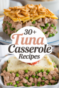 recipes-for-tuna-casserole-bbbbb-23808