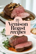 recipes-for-venison-roast-bbbbb-14645