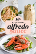 recipes-using-alfredo-sauce-in-a-jar-bbbbb-13035