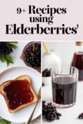 recipes-using-elderberries-bbbbb-46790